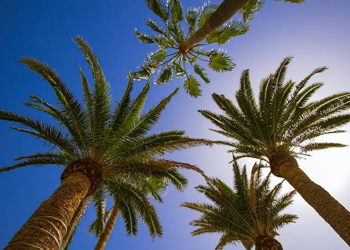 Paradise Club * Puerto del Carmen (Lanzarote)