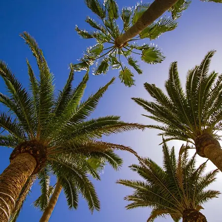 Paradise Club * Puerto del Carmen